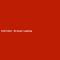 Schicker Bronze-Laptop